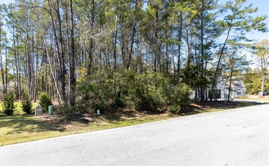 Beautiful Lot in Gated Magnolia Bay Estates - Build Your Dream - photo 5