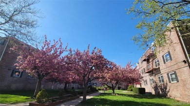 Garden style coop 3-story-brick building in the heart of Forest - photo 18