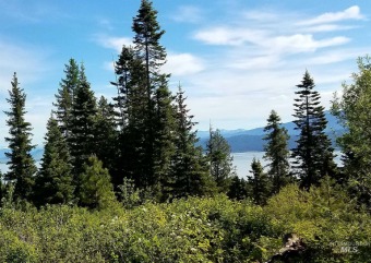 Lake Cascade  Acreage For Sale in Cascade Idaho