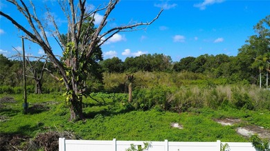 (private lake, pond, creek) Lot Sale Pending in Lutz Florida