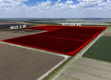 Easy Access from Nittler Rd and Mile 3 W in Hidalgo Co. close to - photo 2