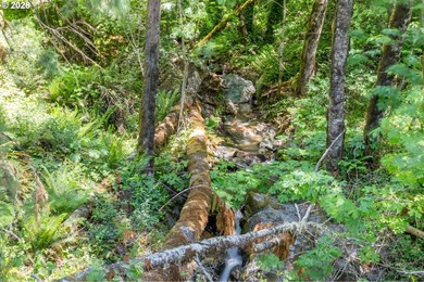 Incredible mountain retreat! This beautiful Lindal Cedar-style - photo 44