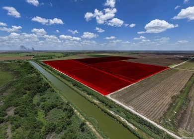 Easy Access from Nittler Rd and Mile 3 W in Hidalgo Co. close to - photo 5