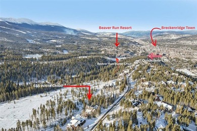 A rare ski-in/ski-out retreat tucked against National Forest - photo 46