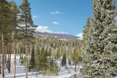 A rare ski-in/ski-out retreat tucked against National Forest - photo 47