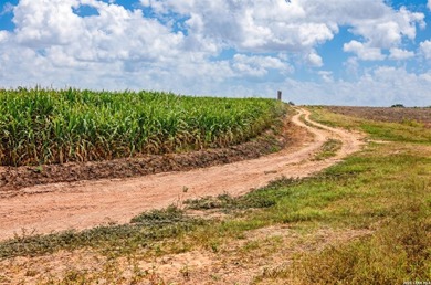 Easy Access from Nittler Rd and Mile 3 W in Hidalgo Co. close to - photo 9