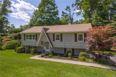 Putnam Lake  Home For Sale in New Fairfield Connecticut