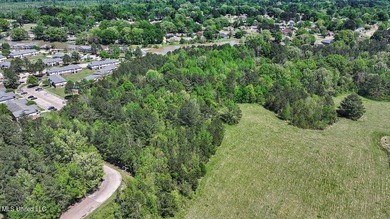 Build your four-plex here! City zoned for multi-family use - photo 24
