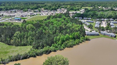 Build your four-plex here! City zoned for multi-family use - photo 29