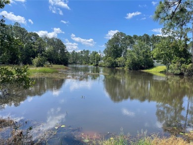 Lake Lot For Sale in Palm Coast, Florida