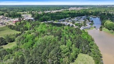 Build your four-plex here! City zoned for multi-family use - photo 31
