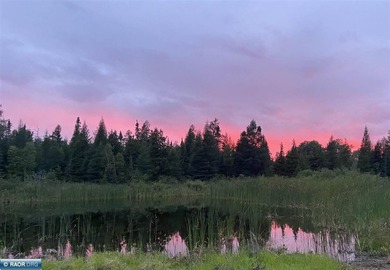 If you are looking for peace and quiet year around or perhaps a - photo 32