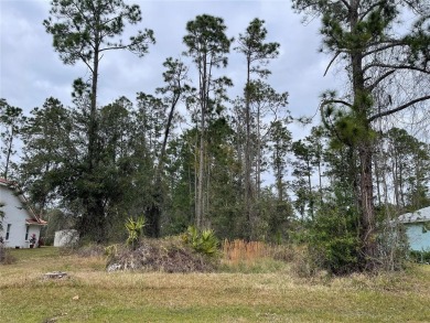 (private lake, pond, creek) Lot For Sale in Palm Coast Florida