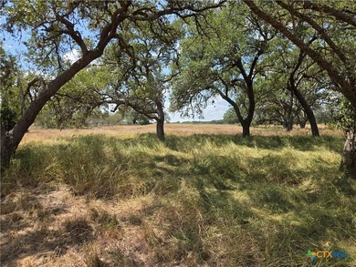 Excellent home site acreage now available off of Slickfield Rd - photo 14