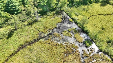 Discover the perfect blend of privacy, natural beauty, and - photo 17