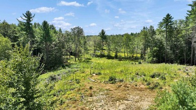 Discover the perfect blend of privacy, natural beauty, and - photo 20