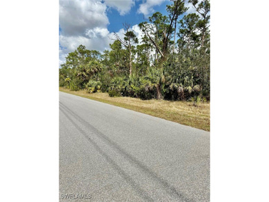 Waiting for your dream home in this peaceful neighborhood!! - photo 2