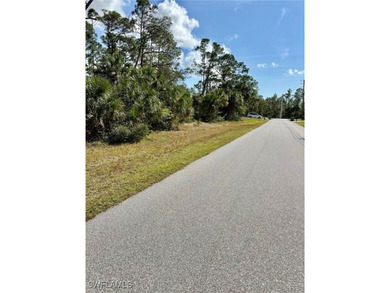 Waiting for your dream home in this peaceful neighborhood!! - photo 3
