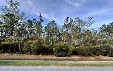 Pungo River - Beaufort County Lot For Sale in Belhaven North Carolina