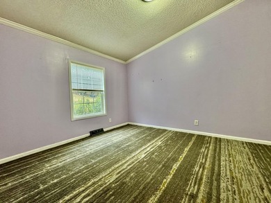 Beautiful 3 bedroom 2 bath with Bonus room with a closet that - photo 23