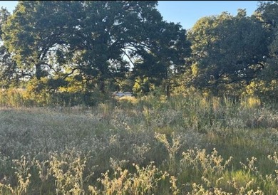 Lake Acreage For Sale in Gun Barrel City, Texas