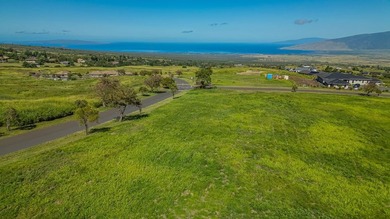 Set on 2.78 remarkably usable acres at approximately 2,300 feet - photo 11