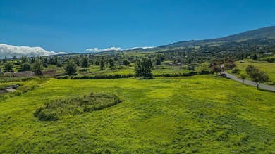 Set on 2.78 remarkably usable acres at approximately 2,300 feet - photo 12