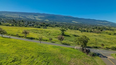 Set on 2.78 remarkably usable acres at approximately 2,300 feet - photo 14