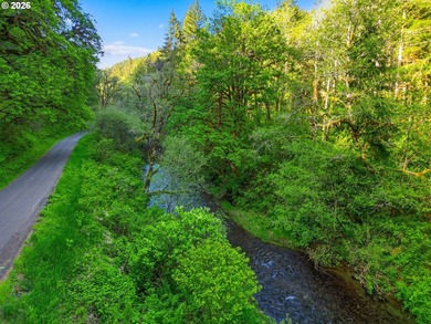 Own a piece of paradise on the upper North Fork River.Zoned F2 - photo 14