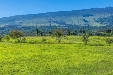 Set on 2.78 remarkably usable acres at approximately 2,300 feet - photo 15