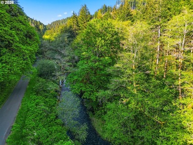 Own a piece of paradise on the upper North Fork River.Zoned F2 - photo 15