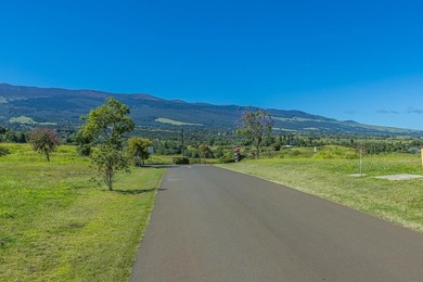 Set on 2.78 remarkably usable acres at approximately 2,300 feet - photo 16