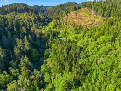 Own a piece of paradise on the upper North Fork River.Zoned F2 - photo 19