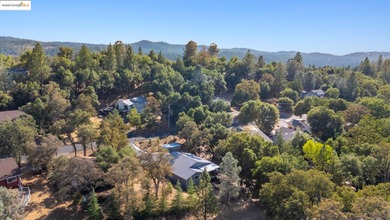 Charming Single-Story Retreat in Pine Mountain Lake. Welcome to - photo 37