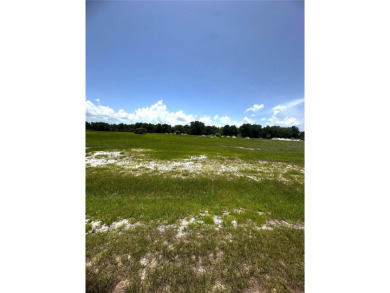 Lake Lot For Sale in Umatilla, Florida