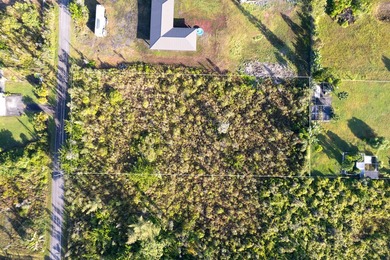 Located in Lower HPP on the dead-end side off of Kaloli Drive; - photo 22