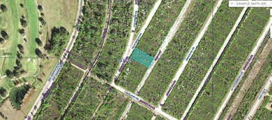Lake Weohyakapka Lot For Sale in Indian Lake Estates Florida