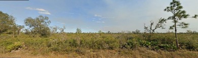 This 0.50-acre vacant  lot on Palm Beach Drive , Florida - photo 2