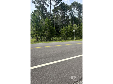 Build your dream home on this beautiful 105' x 352' buildable - photo 1