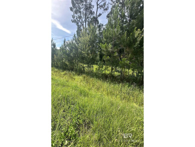 Build your dream home on this beautiful 105' x 352' buildable - photo 3