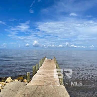 Build your dream home on this beautiful 105' x 352' buildable - photo 10