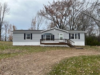 Lake Home For Sale in Dalton, Minnesota