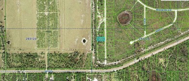 This 0.50-acre vacant lot at 1251 Pinnata Drive in Florida 33855 - photo 2