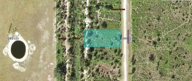 This 0.50-acre vacant lot at 1251 Pinnata Drive in Florida 33855 - photo 3