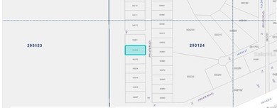 This 0.50-acre vacant lot at 1251 Pinnata Drive in Florida 33855 - photo 4