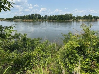 Lake Lot For Sale in Counce, Tennessee