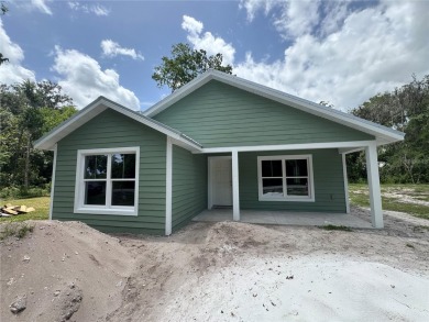 Lake Home For Sale in Lake Panasoffkee, Florida