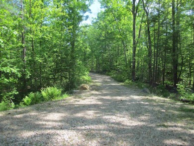 Swains Lake Acreage For Sale in Barrington New Hampshire