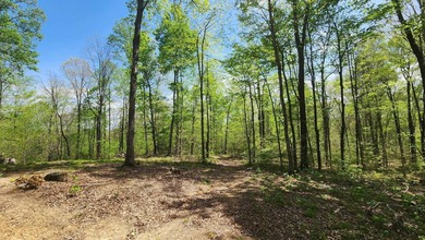 Discover your private escape on 10.94 +/- wooded acres close to - photo 12