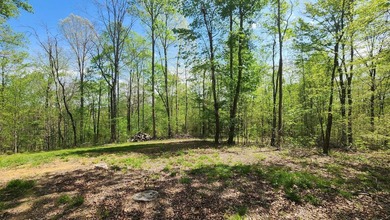 Discover your private escape on 10.94 +/- wooded acres close to - photo 13